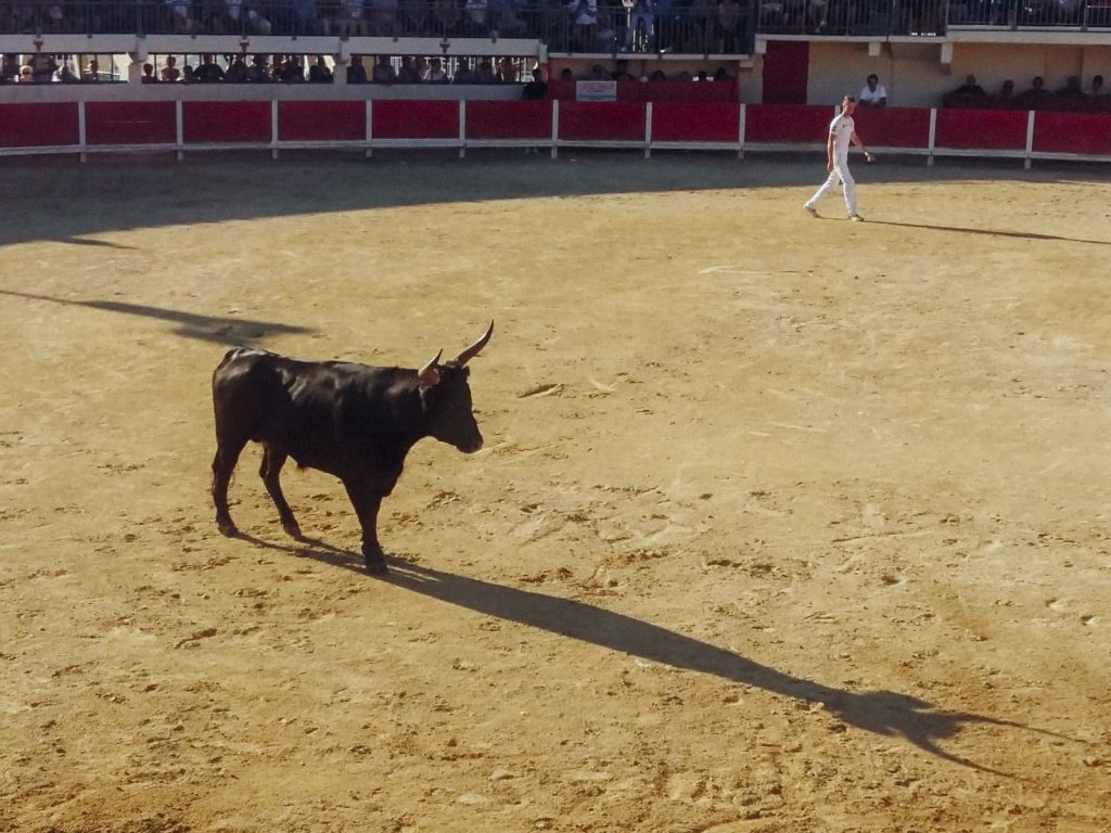 Grau du Roi na południu Francji to spokojny kurort, w którym odbywają się bezkrwawe korridy