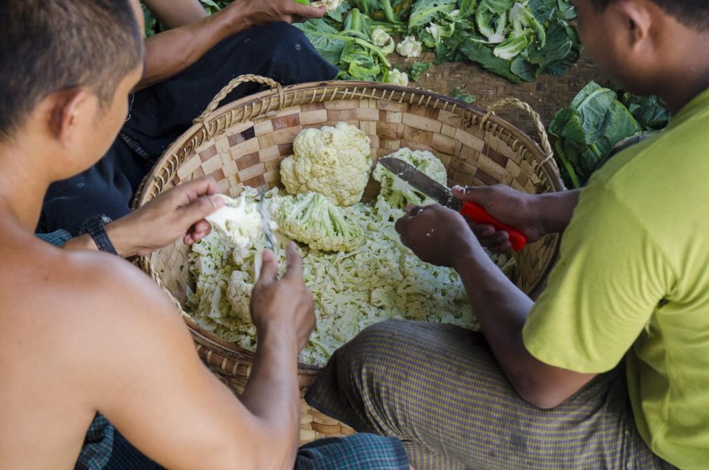 Birma Kalsztor Mnisi