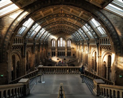 H Claudio Testa IqeG5xA96M4 Unsplash 480x384