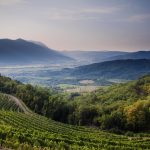 S%C5%82owenia Small 150x150