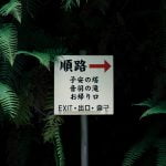 Juniperphoton 4ds MkM492s Unsplash 150x150