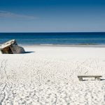 Stilo Buczek Mglowy 150x150