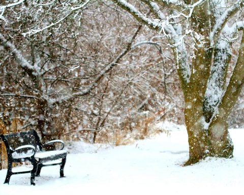 park z ławką w śniegu