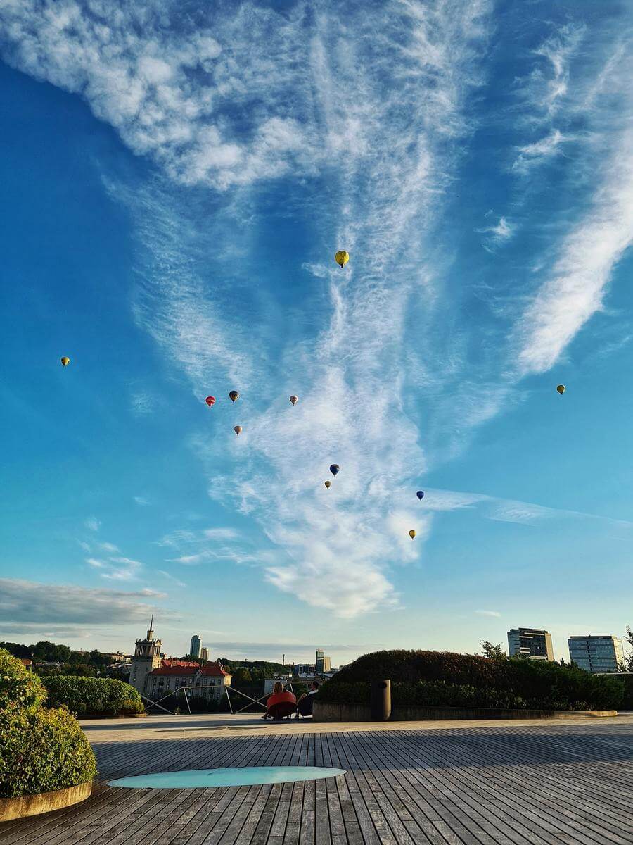 Aurora Fox Wilno Taras Swedbank