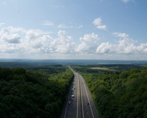 autostrada idąca w lesie pomiędzy drzewami