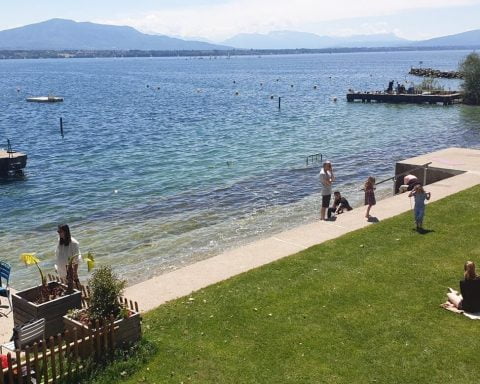 193600955 162355705904322 7968517237259266966 N 1 1 480x384