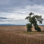 2021 09 09 019 1 150x150