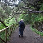 Madera Classic 5199 1 150x150