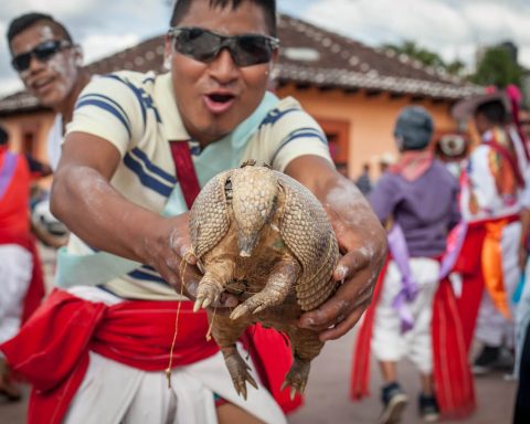 Meksyk 7443 1 480x384