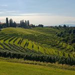 20220902 113007 150x150