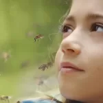 20000 gatunków pszczół recenzja