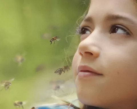 20000 gatunków pszczół recenzja