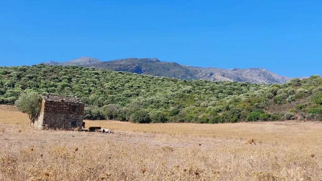 74 Les Agriates Pachnace Makia Pustynne Obszary Zapraszaja Do Eksploracji Na Piechote Lub Konno 1