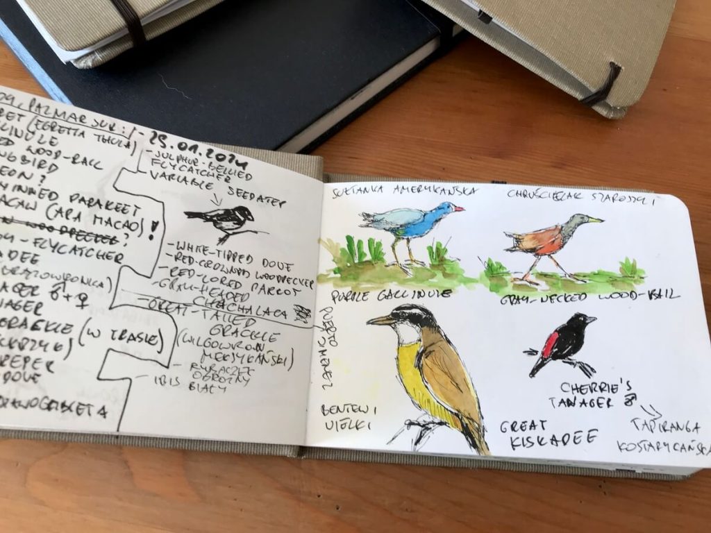 IMG 1187 4 1 1024x768