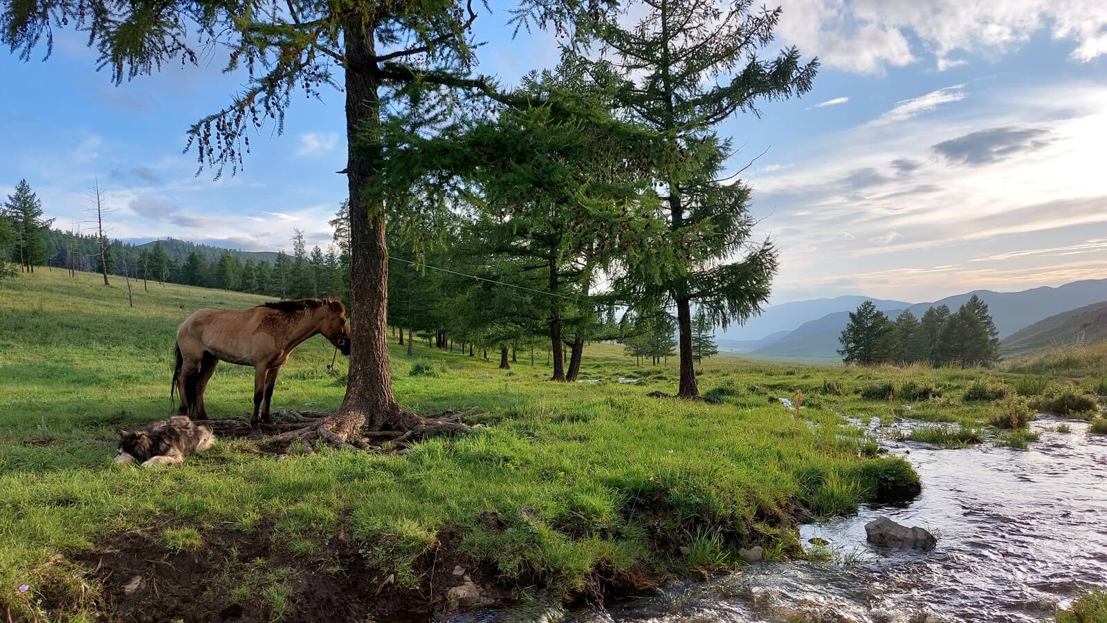 mongolia