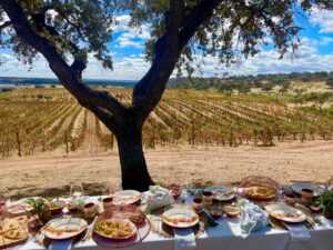 alentejo wino