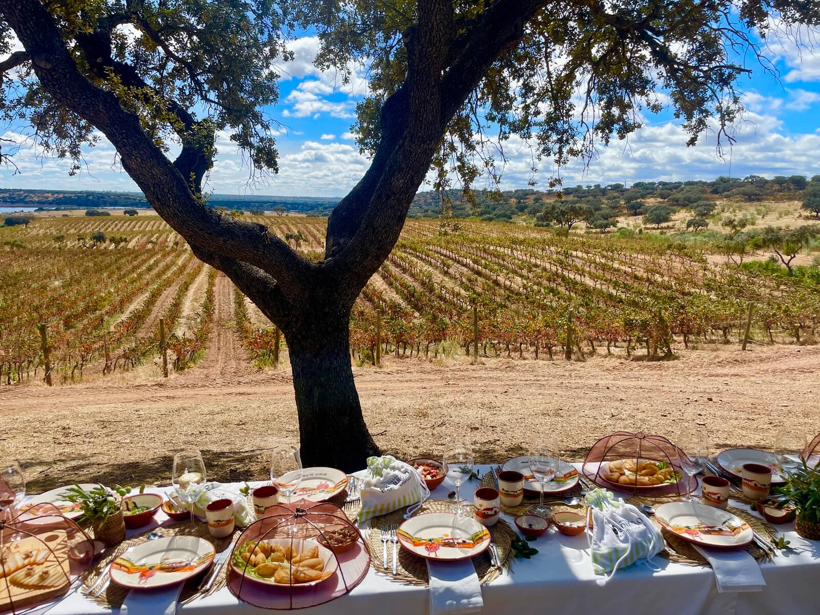 alentejo wino