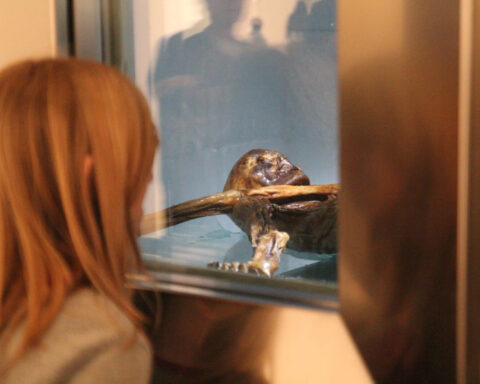 Oskar Verant 1 480x384