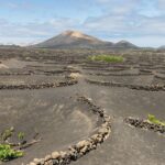 lanzarote wino
