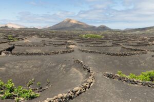 lanzarote wino