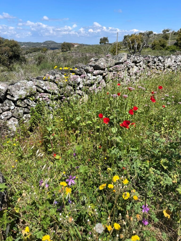 ścieżka przemytników, Alentejo