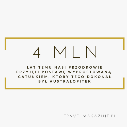 Musztardowe Czarne Minimalistyczne Etsy Sklep Ikona2