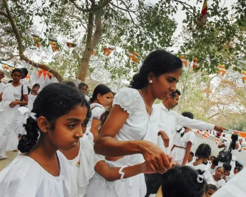 Najstarsze drzewo na świecie
