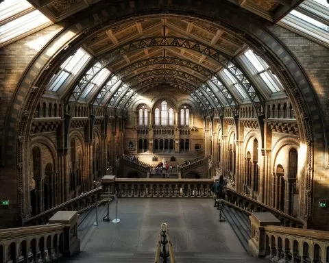 H Claudio Testa IqeG5xA96M4 Unsplash