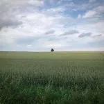 FB IMG 15954469542935223