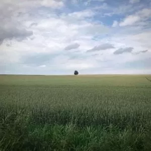 FB IMG 15954469542935223