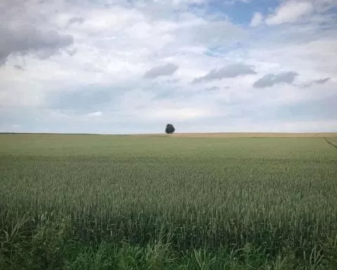 FB IMG 15954469542935223