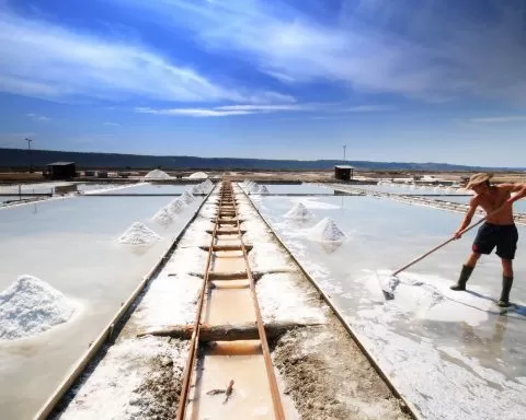 Secovljske Soline Solinar