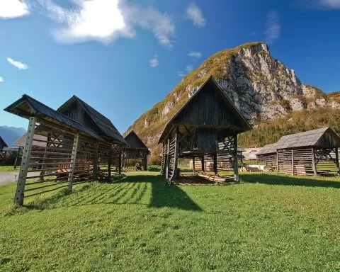 120343888 674697889829561 7570427111077876485 N