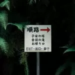 Juniperphoton 4ds MkM492s Unsplash