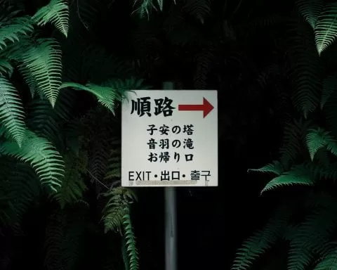 Juniperphoton 4ds MkM492s Unsplash