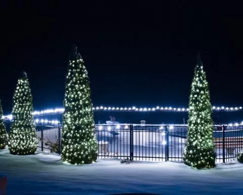 Matthew Cisler Nb7m1BleNF0 Unsplash