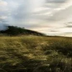 36784179100 3f237b90e8 K