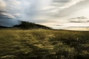 36784179100 3f237b90e8 K