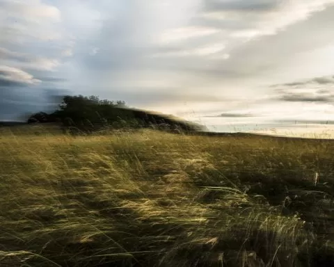 36784179100 3f237b90e8 K