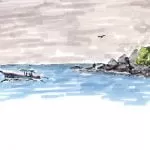 rysunek azjatyckiej plazy