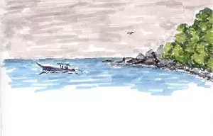 rysunek azjatyckiej plazy