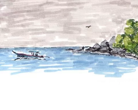 rysunek azjatyckiej plazy