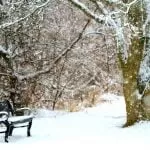 park z ławką w śniegu