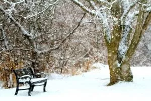 park z ławką w śniegu