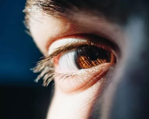 Bacila Vlad WTThc6UmwEI Unsplash 1 1