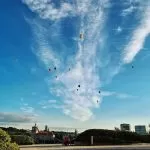 Aurora Fox Wilno Taras Swedbank