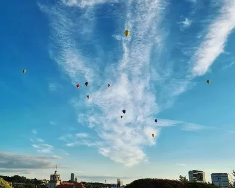 Aurora Fox Wilno Taras Swedbank