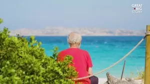 mauro morandi - budelli