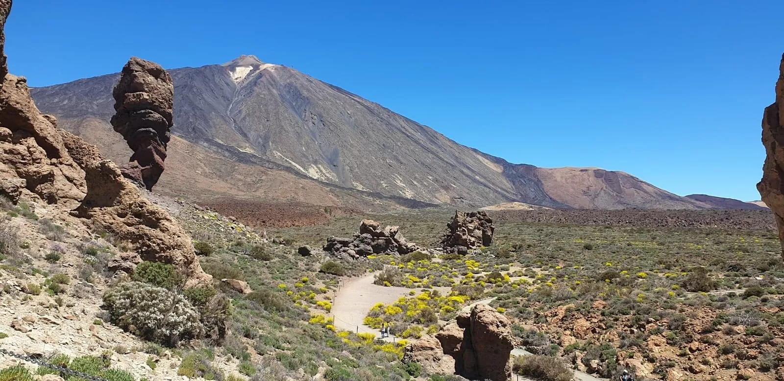 189350337 1154783055022776 5180949109974110399 N 1