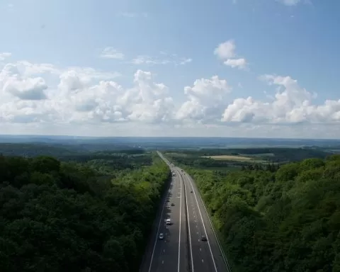 autostrada idąca w lesie pomiędzy drzewami